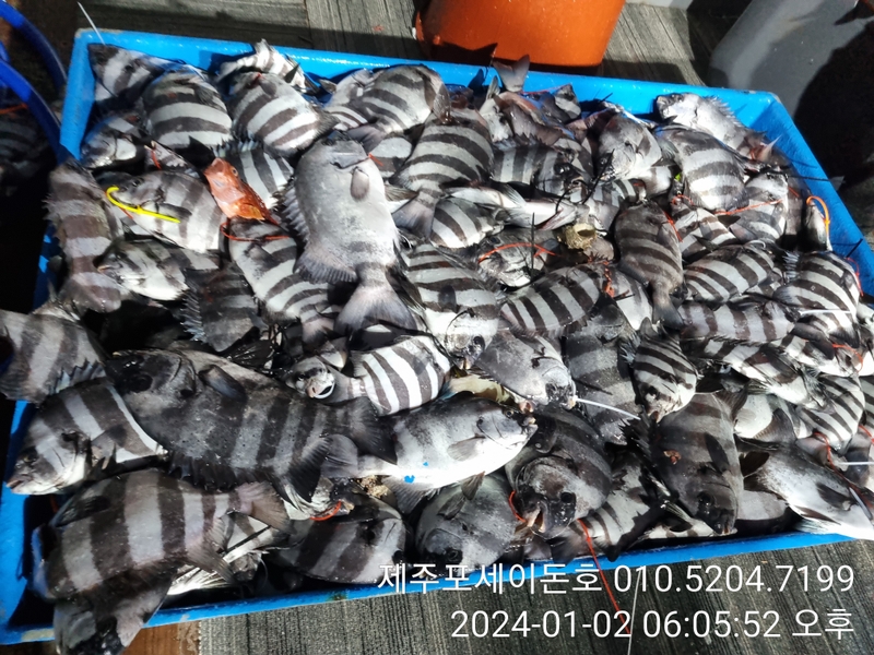 해당 선사를 대표하는 이미지