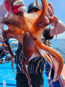 마린플래닛호 선장의 문어낚시 꿀팁 선상낚시로 잡은 물고기 조황