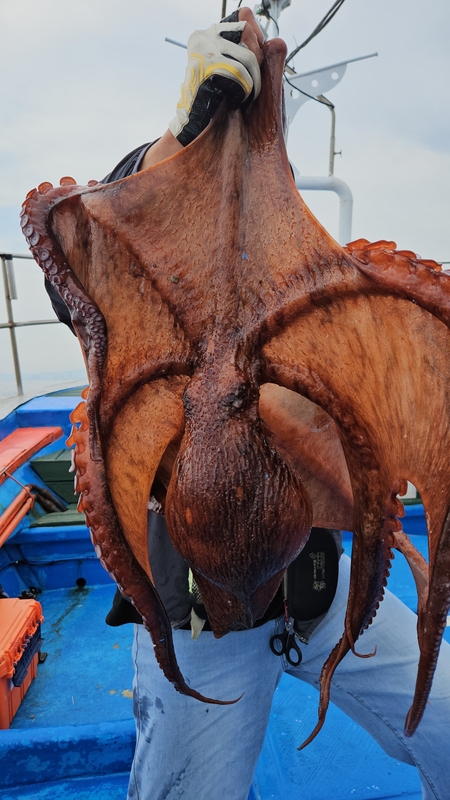 마린플래닛호의 조황일지 이미지 - 0