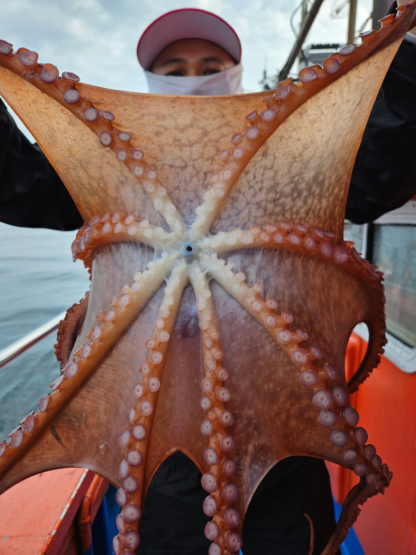 마린플래닛호의 조황일지 이미지 - 1