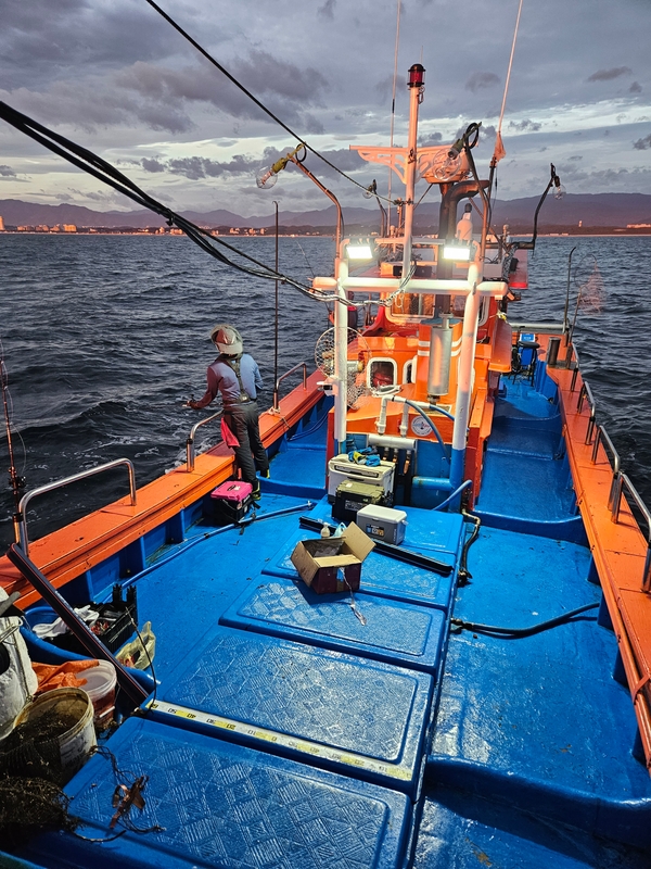 해당 선사를 대표하는 이미지