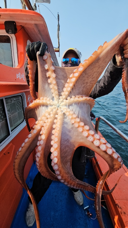 해당 선사를 대표하는 이미지