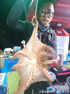 녹동돌문어 실시간 ~ 선상낚시로 잡은 물고기 조황