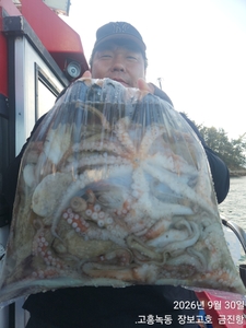 녹동돌문어 싸이즈 좋네요 ~ 선상낚시로 잡은 물고기 조황