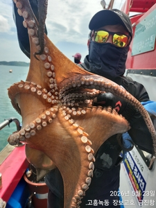 금어기전 마지막 문어 대박~ 선상낚시로 잡은 물고기 조황
