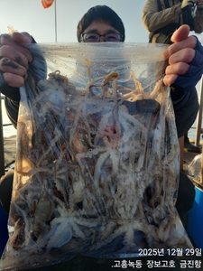 29일 녹동알쭈꾸미 싸이즈 대박~ 선상낚시로 잡은 물고기 조황