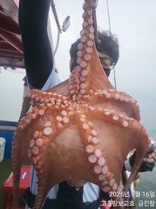 16일 녹동돌문어 조황~ 선상낚시로 잡은 물고기 조황