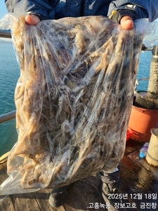 18일 녹동알쭈꾸미 싸이즈,마릿수 굿~ 선상낚시로 잡은 물고기 조황