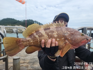 5짜 붉바리 실시간 ~ 선상낚시로 잡은 물고기 조황