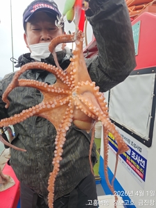 준내만문어 출조~ 선상낚시로 잡은 물고기 조황