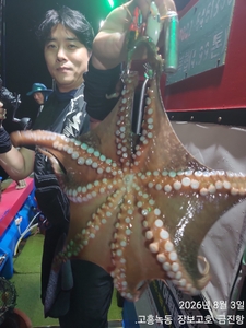 녹동돌문어 싸이즈 좋네요 ~ 선상낚시로 잡은 물고기 조황