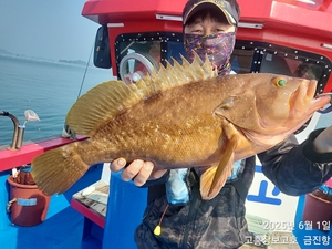 황금물때 붉바리 파티~ 선상낚시로 잡은 물고기 조황