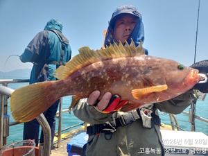 돼지붉바리 잡으러 오세요 ~ 선상낚시로 잡은 물고기 조황