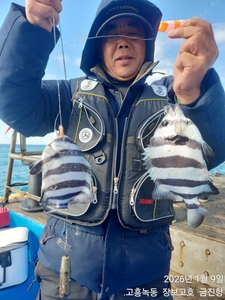 돌돔덜덜이 나갑니다 ~ 선상낚시로 잡은 물고기 조황