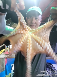 23일 녹동돌문어 조황~ 선상낚시로 잡은 물고기 조황