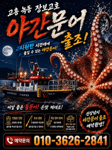 야간문어출조 전문선사~~ 선상낚시로 잡은 물고기 조황