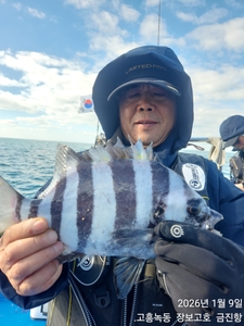 9일 돌돔덜덜이 실시간~ 선상낚시로 잡은 물고기 조황