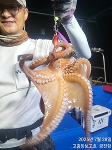 28일 녹동돌문어  조황~ 선상낚시로 잡은 물고기 조황