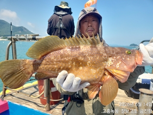 조금물때 민어,붉바리 나갑니다 ~ 선상낚시로 잡은 물고기 조황