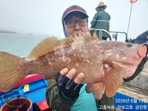 돼지 붉바리 실시간 ~ 선상낚시로 잡은 물고기 조황