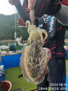 첫 갑오징어 탐사~ 선상낚시로 잡은 물고기 조황
