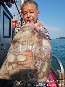 녹동돌문어 초대박조황~ 선상낚시로 잡은 물고기 조황