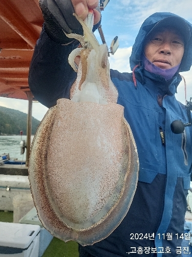 대갑조황~ 선상낚시로 잡은 물고기 조황