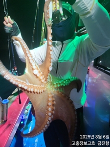 6일 녹동돌문어 조황~ 선상낚시로 잡은 물고기 조황