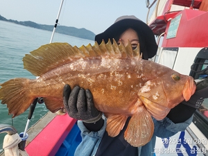 6짜 붉바리 ~ 선상낚시로 잡은 물고기 조황