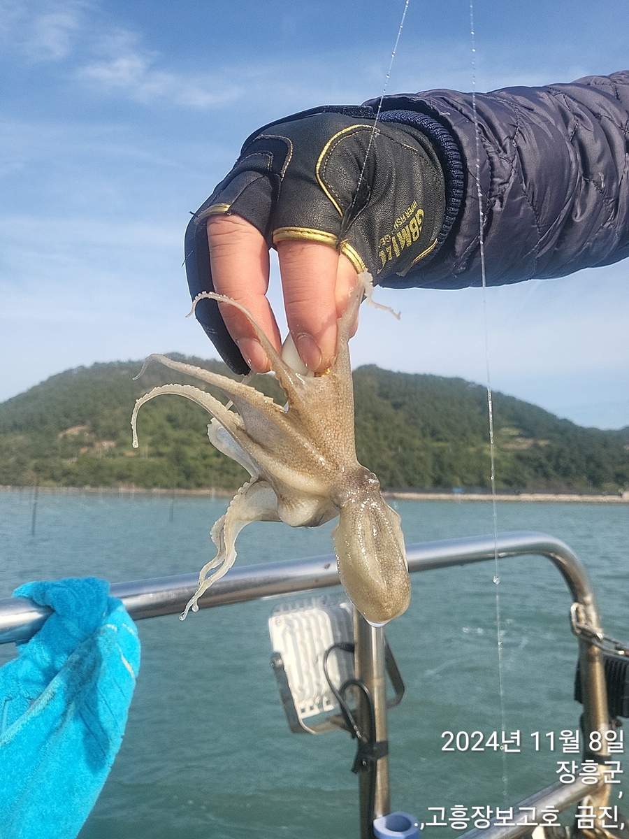 고흥장보고호의 조황일지 이미지 - 1