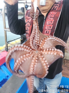 녹동돌문어 계속 쏟아집니다 ~ 선상낚시로 잡은 물고기 조황