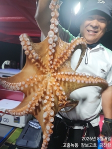 녹동돌문어 싸이즈급조황~ 선상낚시로 잡은 물고기 조황