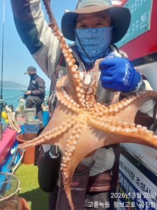 조금황금물때 문어출조 ~ 선상낚시로 잡은 물고기 조황