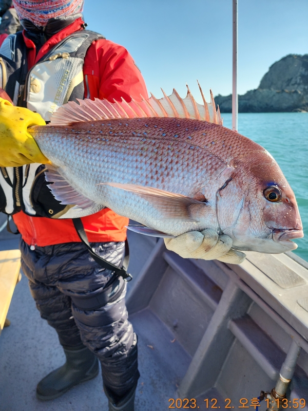 해당 선사를 대표하는 이미지