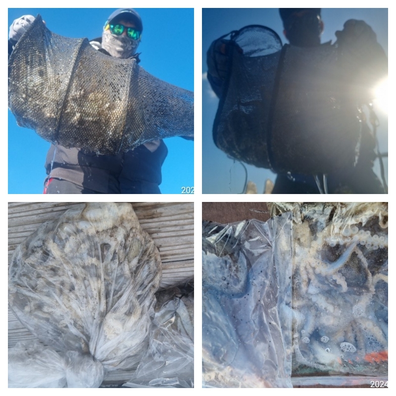 여수 히트호 의 조황일지 이미지 - 1