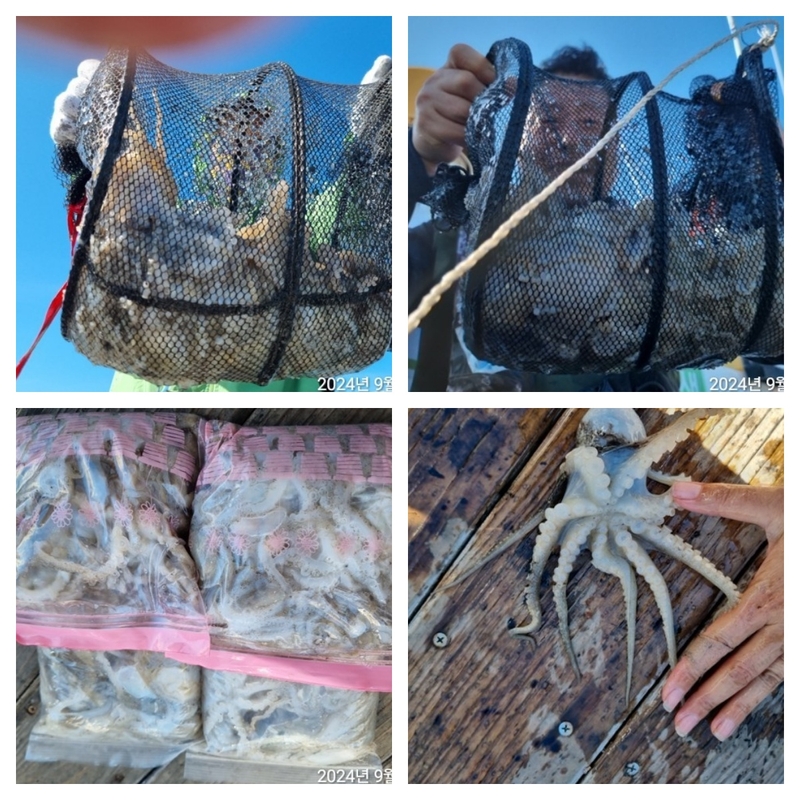 여수 히트호 의 조황일지 이미지 - 0