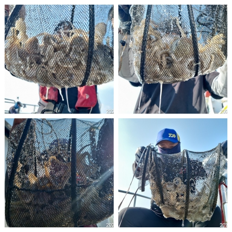 여수 히트호 의 조황일지 이미지 - 1