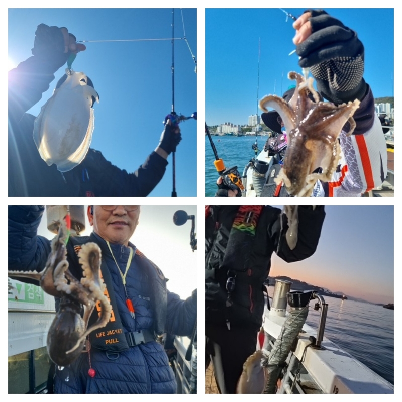 여수 히트호 의 조황일지 이미지 - 1