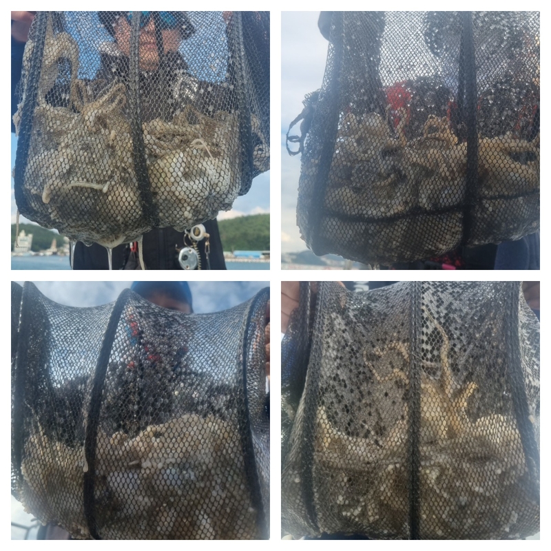 여수 히트호 의 조황일지 이미지 - 0