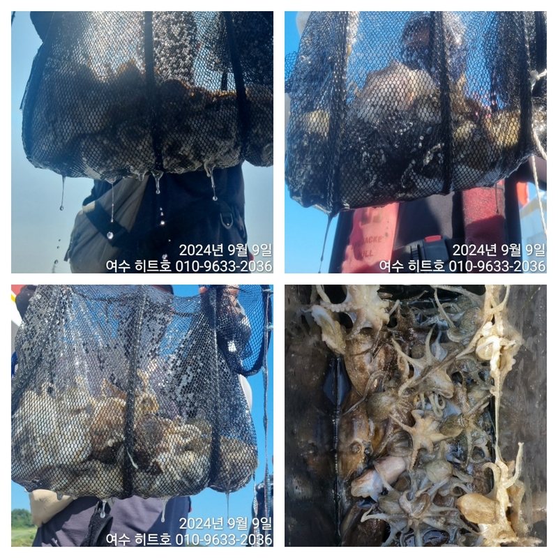 여수 히트호 의 조황일지 이미지 - 0