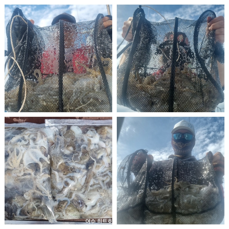 여수 히트호 의 조황일지 이미지 - 0