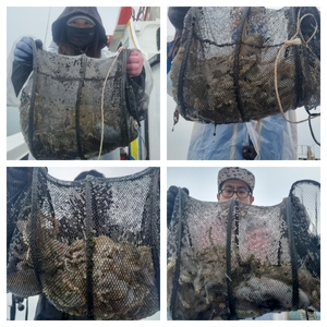 27일 여수히트호 대왕 쭈꾸미 조황 (내일자리여유) 선상낚시로 잡은 물고기 조황