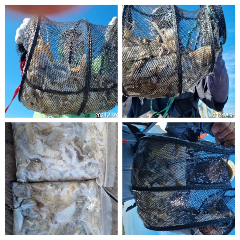 여수 히트호 의 조황일지 이미지 - 2