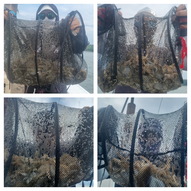 여수 히트호 의 조황일지 이미지 - 0