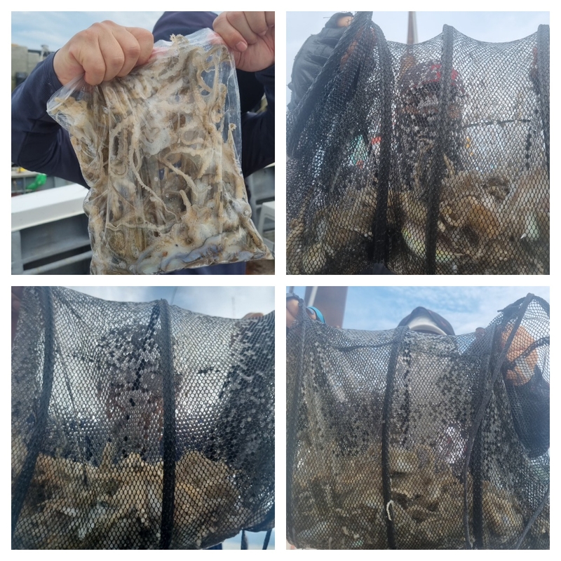 여수 히트호 의 조황일지 이미지 - 1