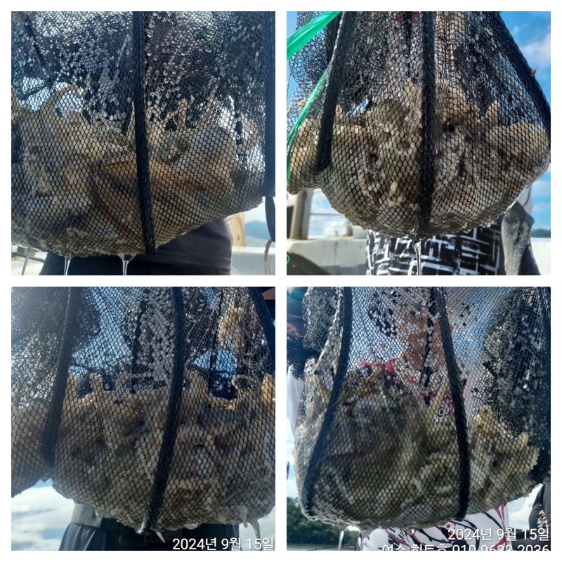 여수 히트호 의 조황일지 이미지 - 1