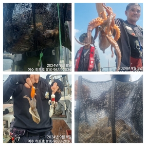 여수 히트호 쭈, 갑 조황 (내일부터자리여유) 선상낚시로 잡은 물고기 조황