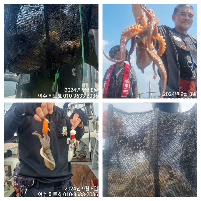 여수 히트호 의 조황일지 이미지 - 0