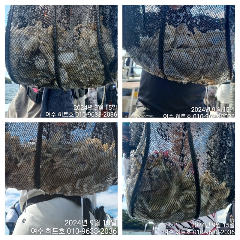 여수 히트호 의 조황일지 이미지 - 0