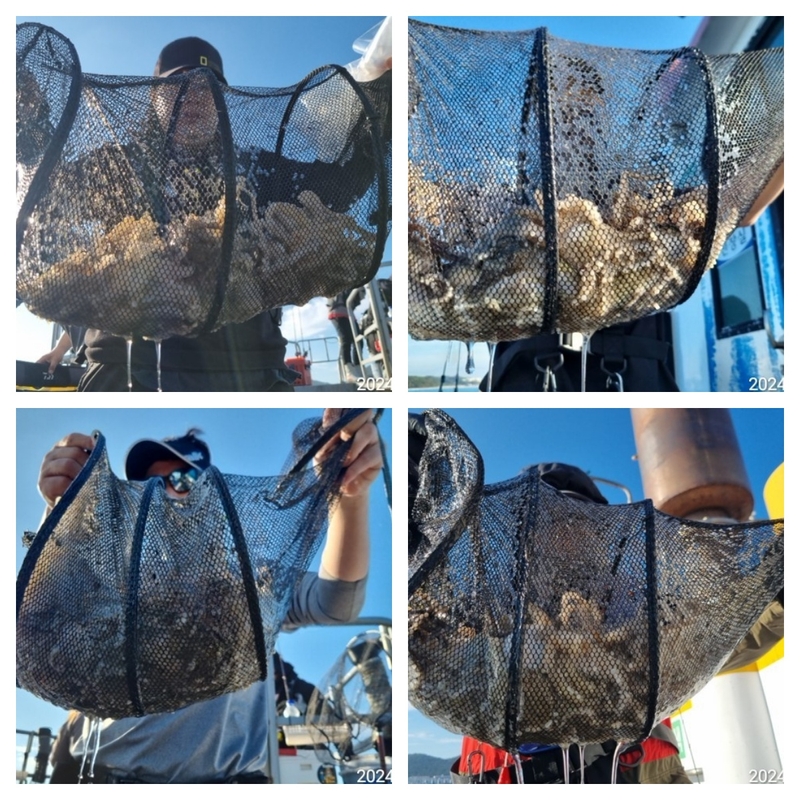 여수 히트호 의 조황일지 이미지 - 1